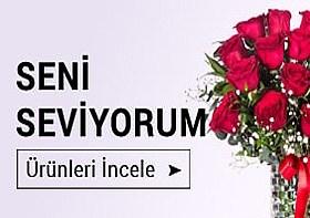 Seni Seviyorum