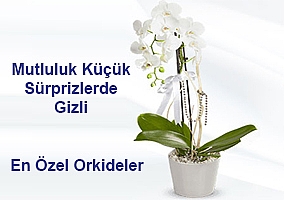 �i�ek