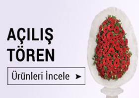 A��l�� T�reni